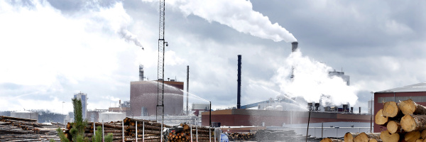 En lastbil fullastad med timmer står parkerad på ett industriområde. I bakgrunden syns en fabrik med rök som stiger från höga skorstenar. Timmer är staplat i stora högar, och vatten sprutas över stockarna. Himlen är molnig.